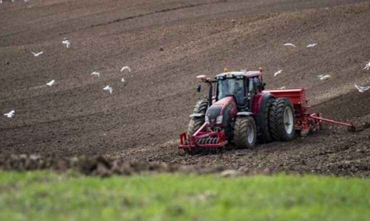 SEGES Innovation drives sustainable transformation in agriculture using AI and a new data science vision
